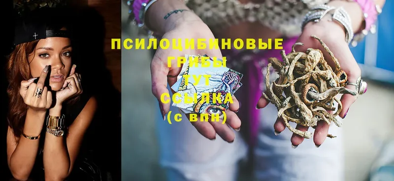 Галлюциногенные грибы Magic Shrooms  Беслан 